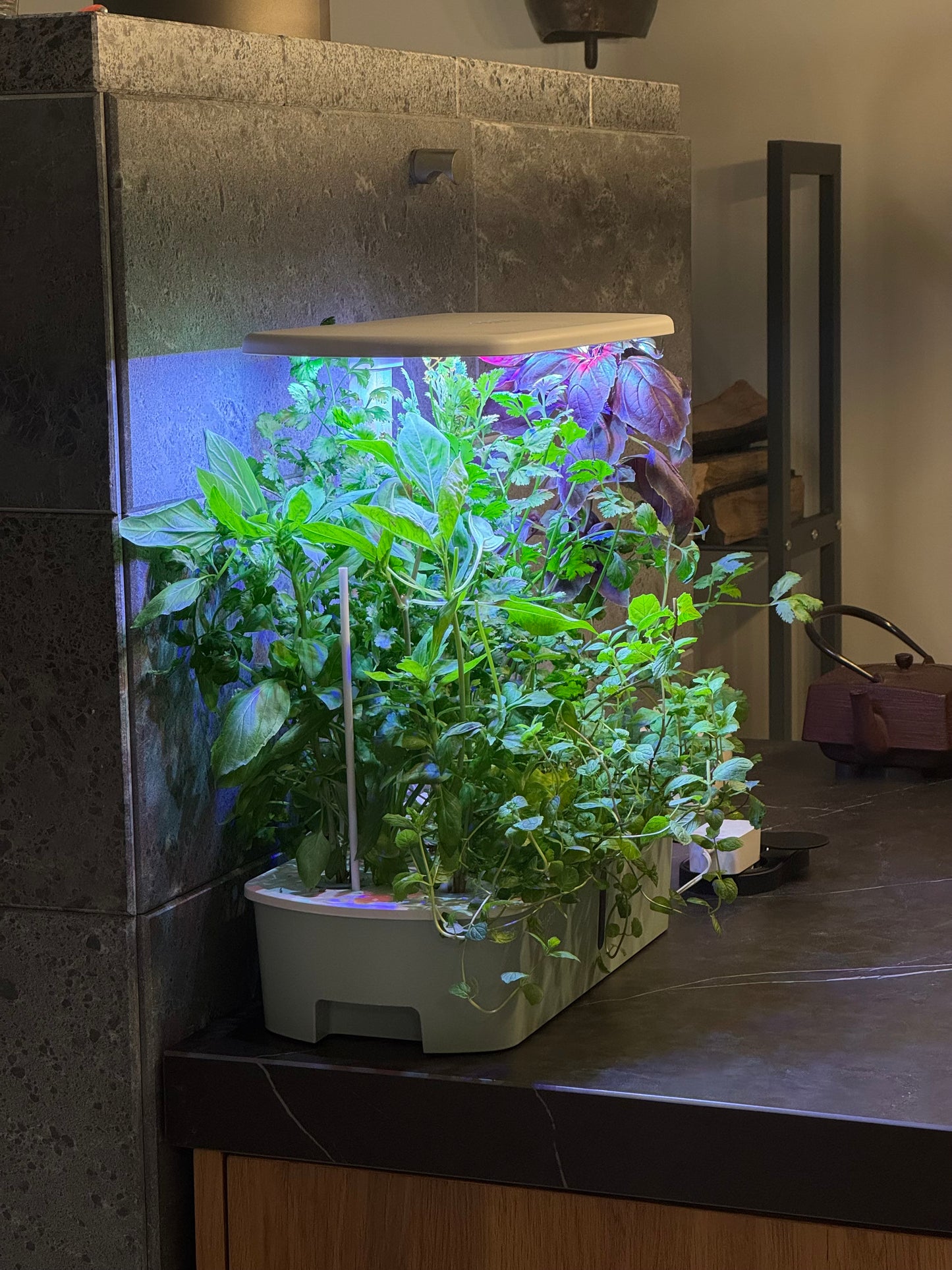 Smart Garden 10 Air