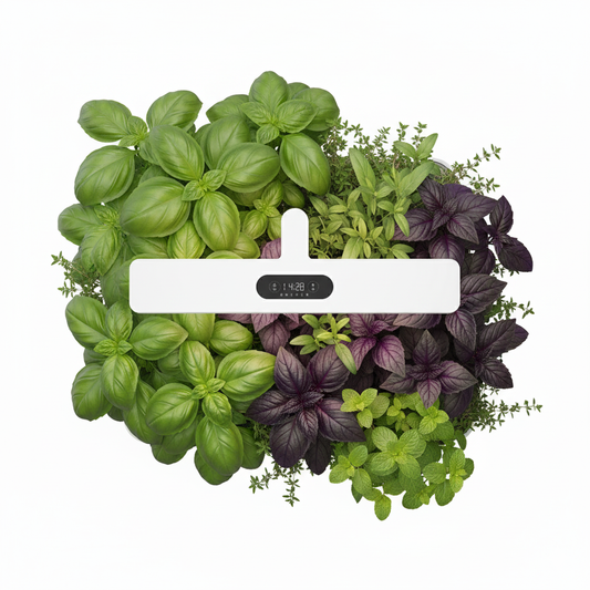 Te veel of te weinig water? Hoe de Smart Garden de #1 plantendood oplost