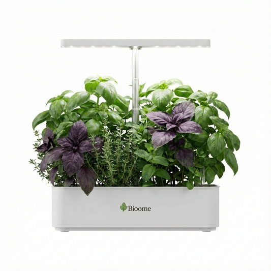 Stop met Supermarktkruiden weggooien: Waarom een Smart Garden je geld (en frustratie) bespaart