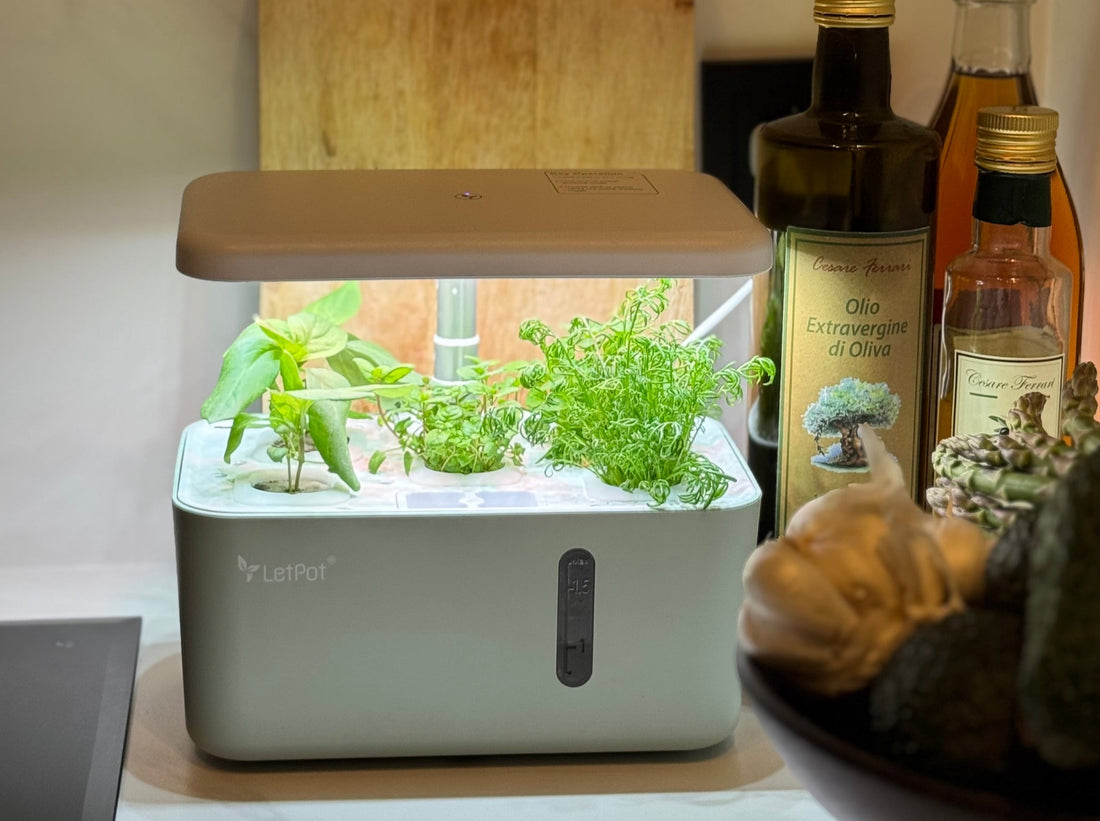Upgrade Your Cooking with Fresh Herbs from a Smart Garden