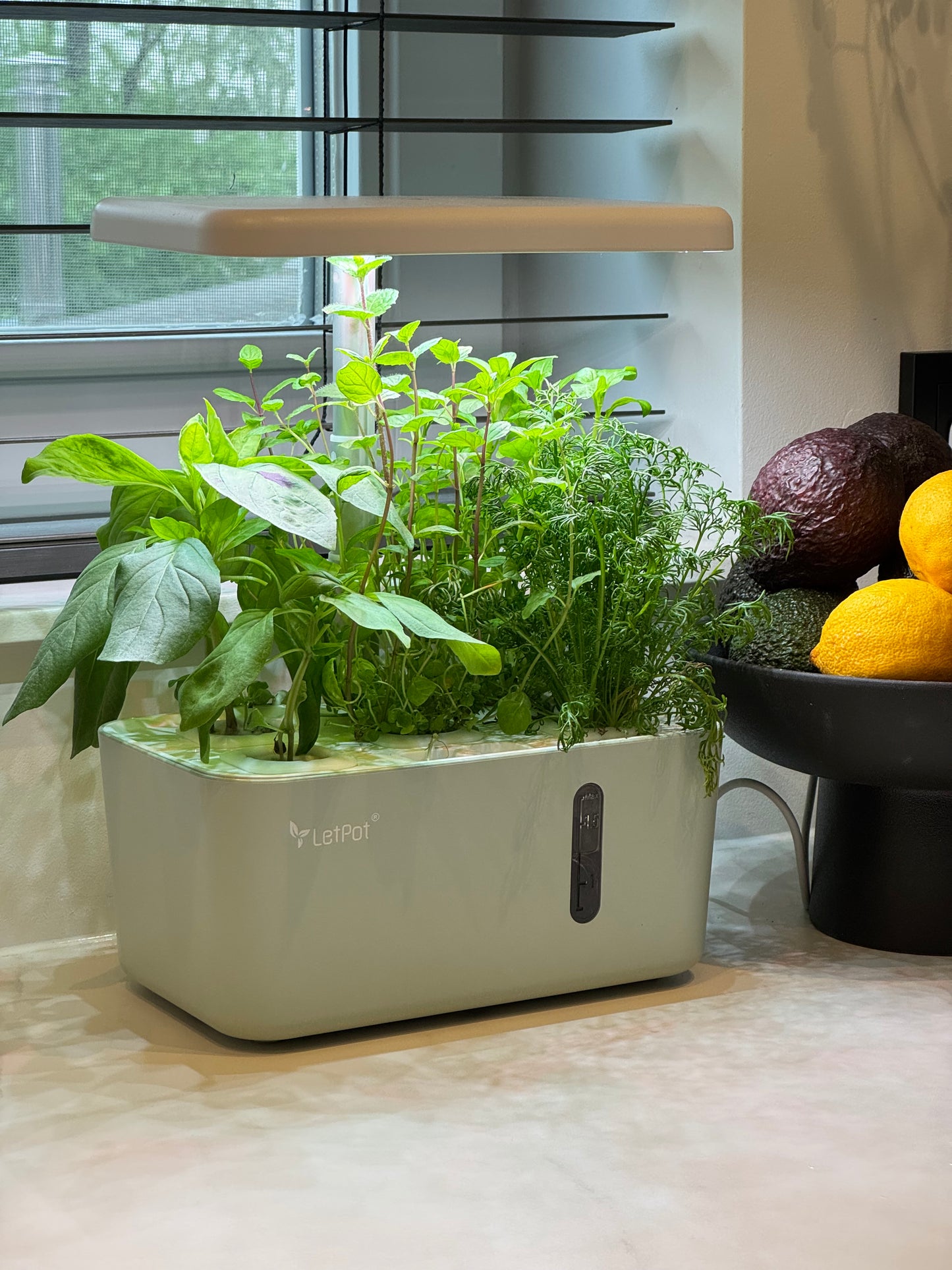 Smart Garden 5 Mini